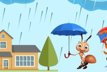 Need of Medical Care for Rainy Season Poisonous Insects at Home