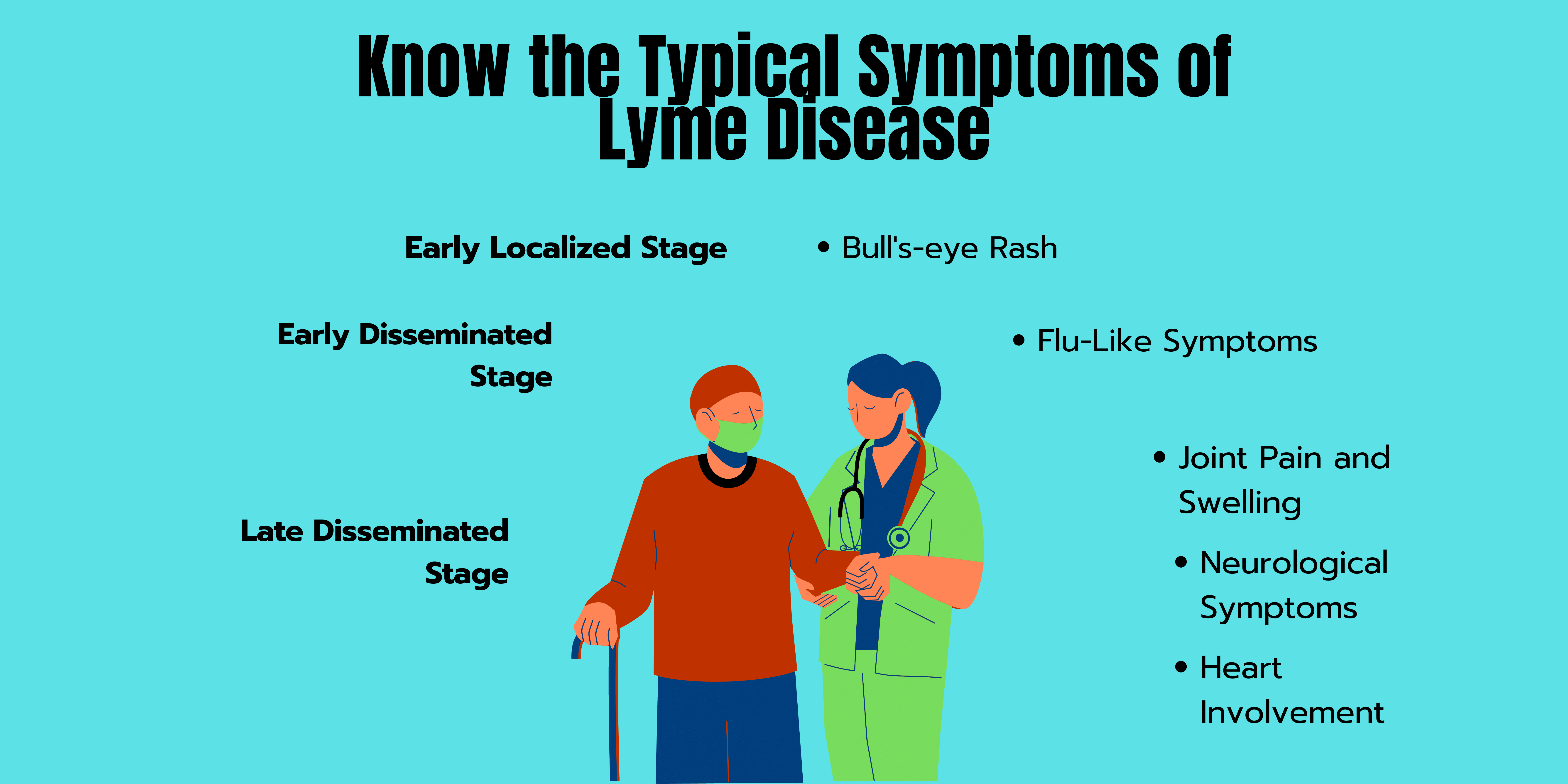 Know the Typical Symptoms of Lyme Disease