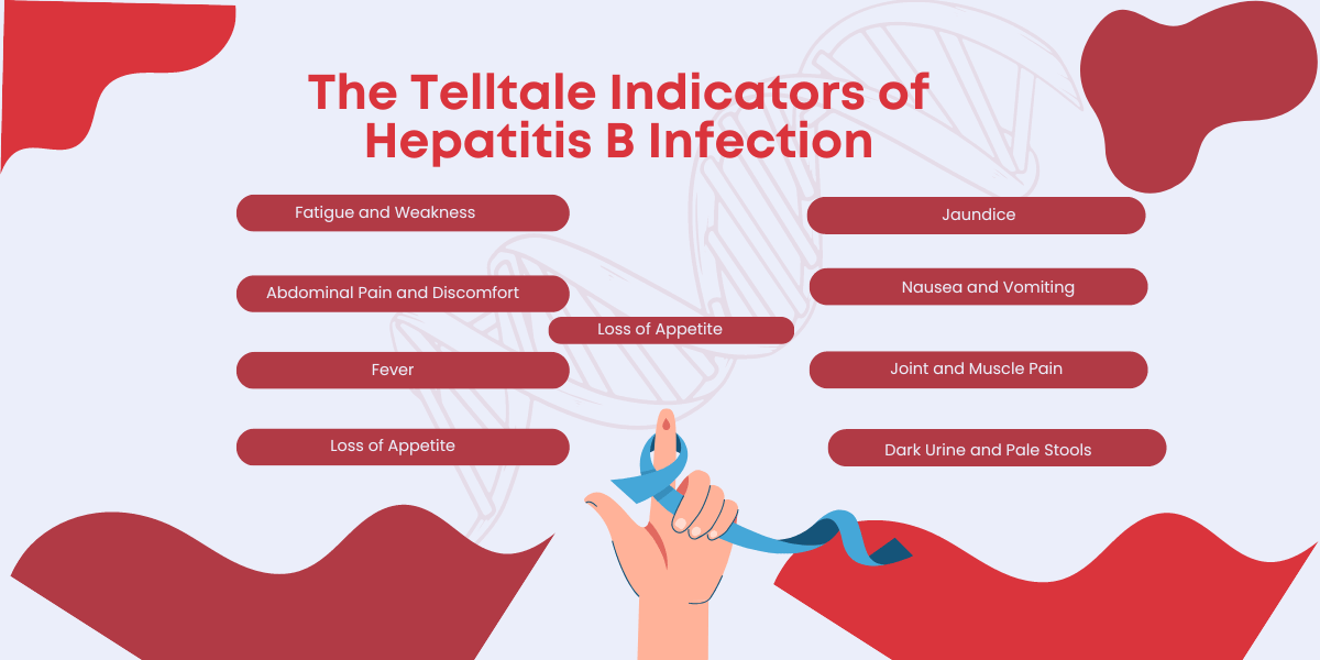 What are The Symptoms of Hepatitis B?