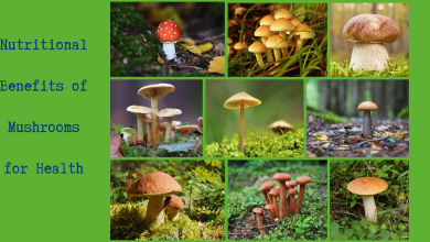 Nutritional Benefits of Mushrooms for Health