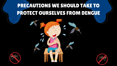 Precautions We Should Take to Protect Ourselves From Dengue