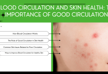 Blood circulation and skin