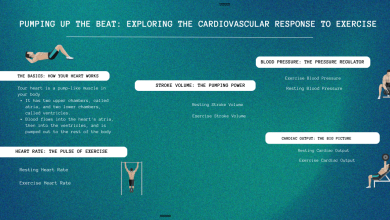 Cardiovascular response to exercise