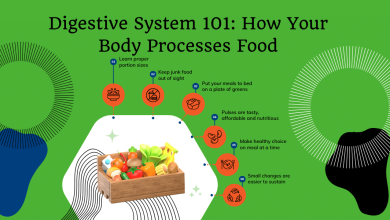 Digestive System