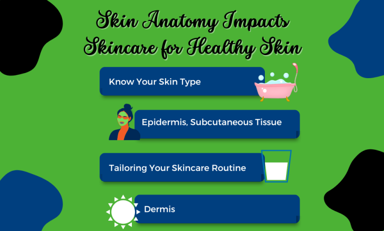 Skin Anatomy Impacts Skincare for Healthy Skin