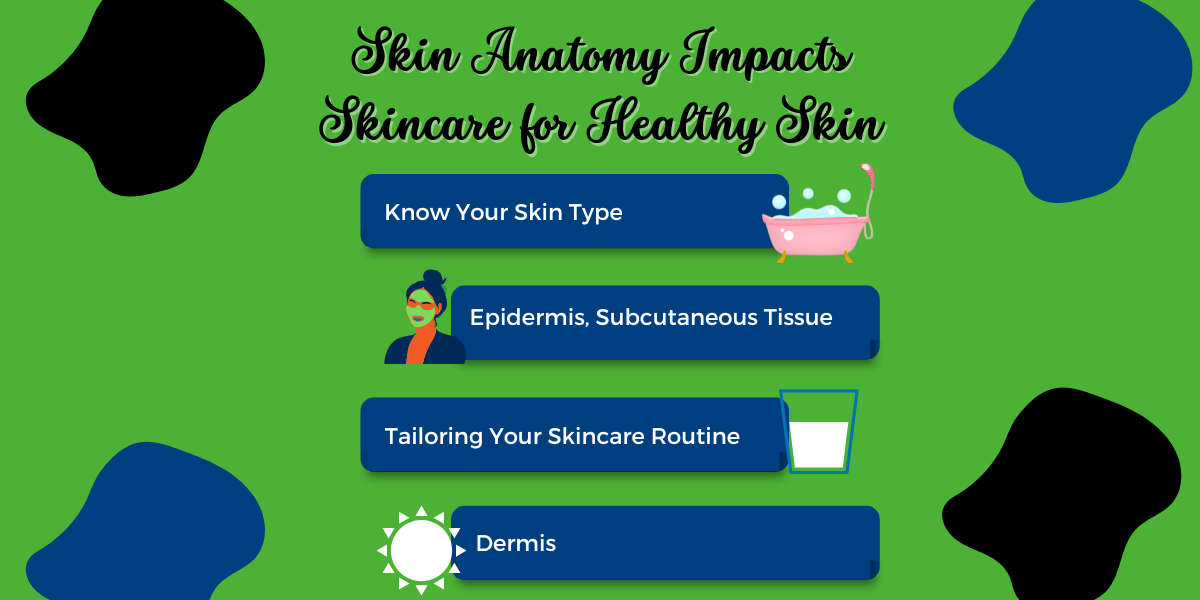 Skin Anatomy Impacts Skincare for Healthy Skin