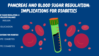 Pancreas and Blood Sugar Regulation