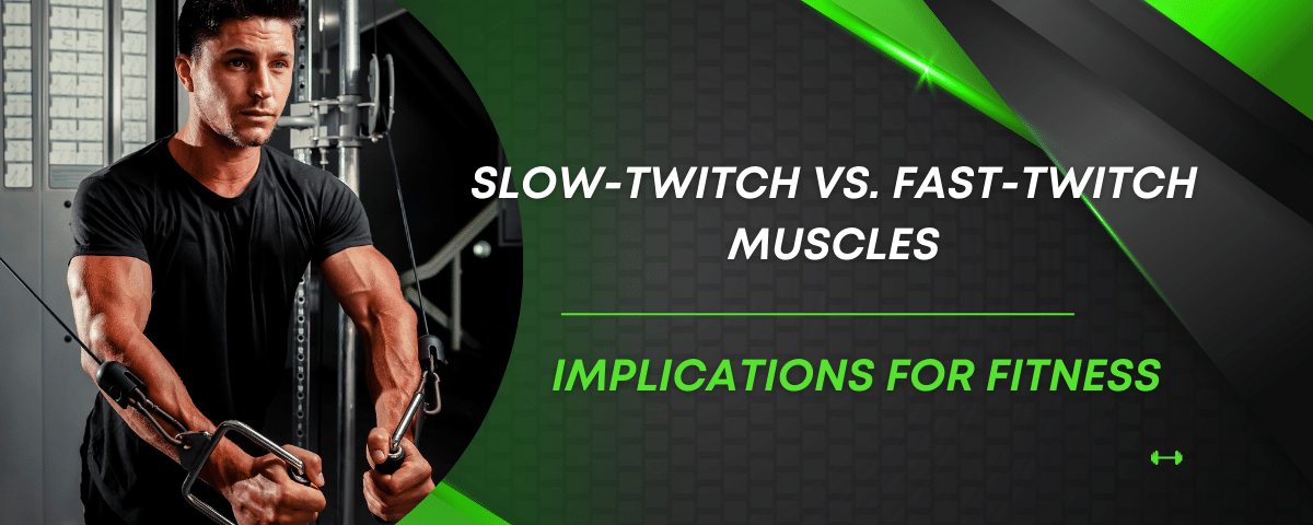 Slow-twitch vs. fast-twitch muscles