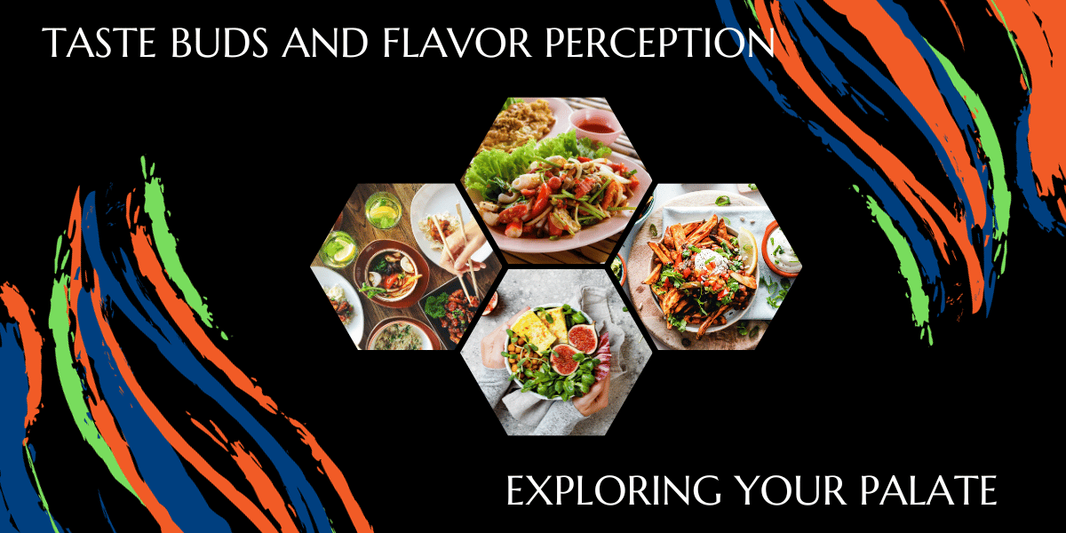 Taste buds and flavor perception