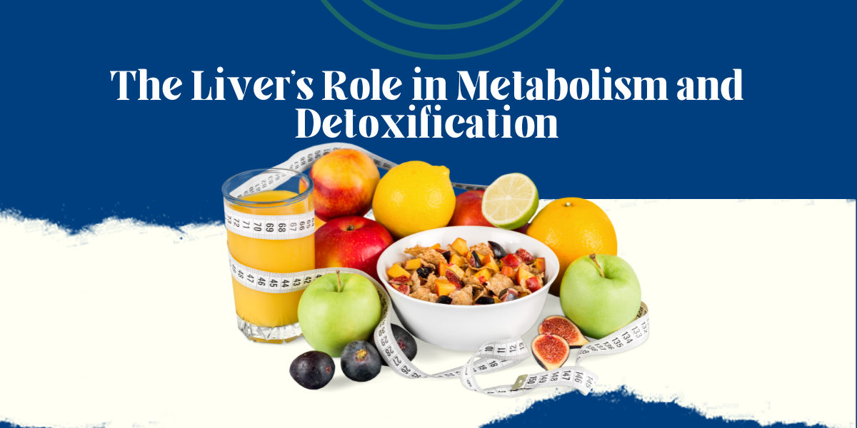 Liver's Metabolism and Detoxification