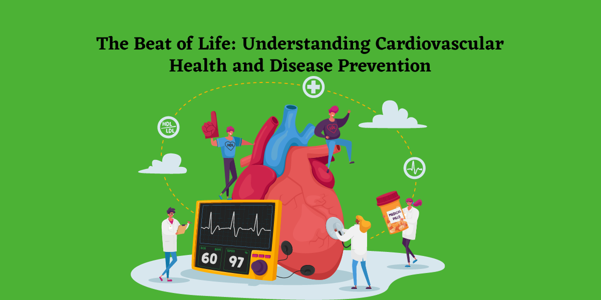 Cardiovascular System and Heart Health