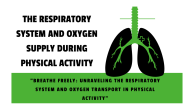 Respiratory System and Oxygen Supply