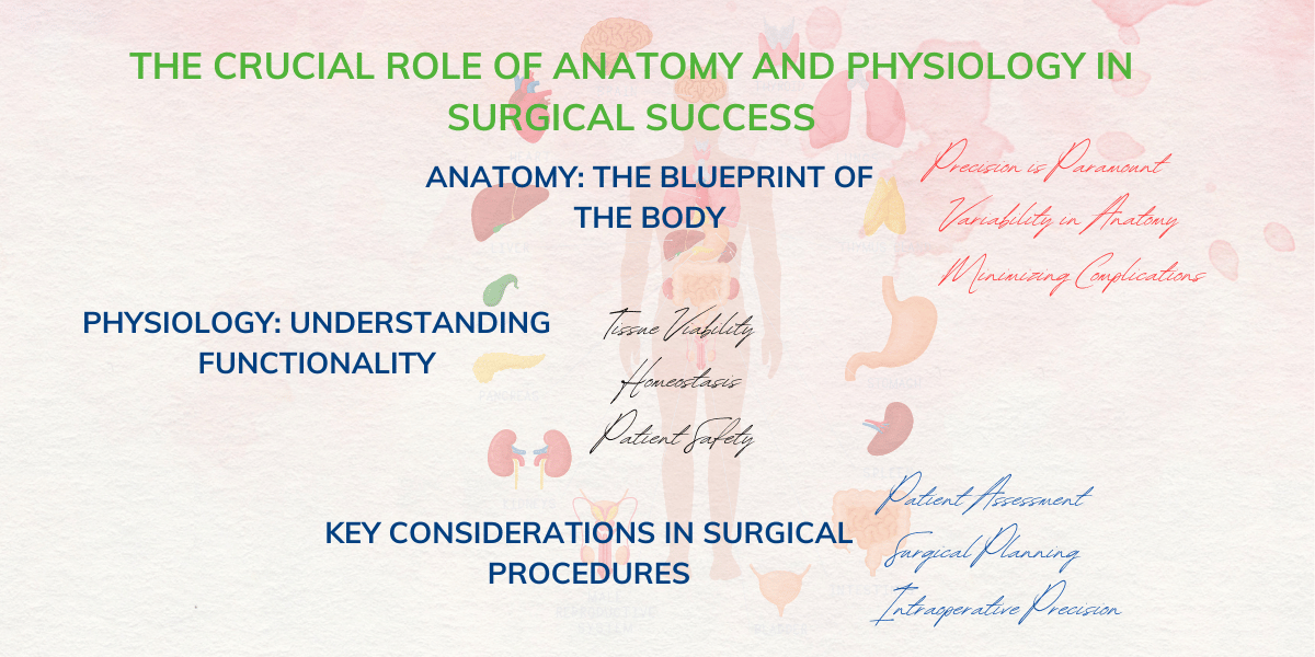 Anatomy and physiology in surgery