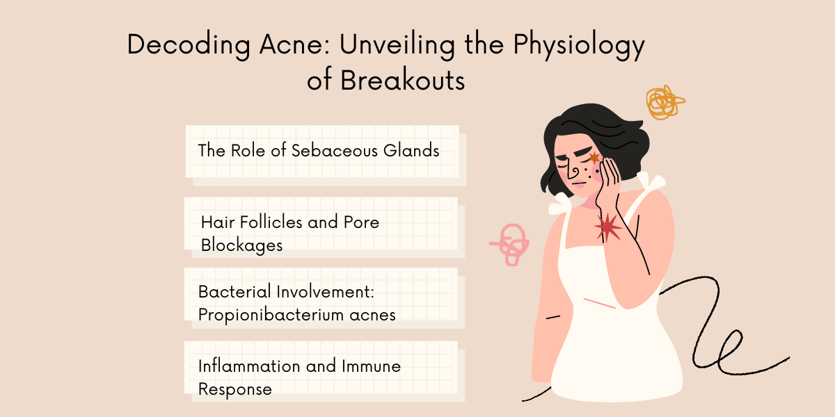 Acne: Understanding The Physiology Behind Its Formation