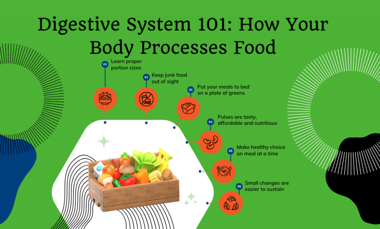 Digestive System