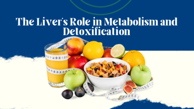 Liver's Metabolism and Detoxification