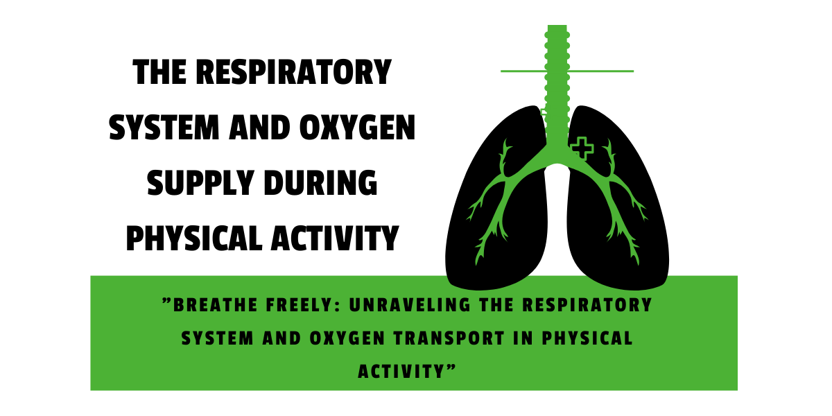 Respiratory System and Oxygen Supply