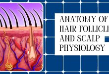 Hair Follicles