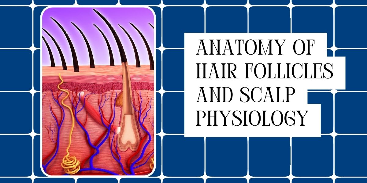 Hair Follicles