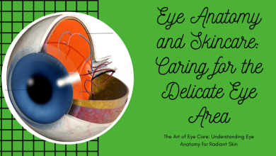 Eye Anatomy and Skincare