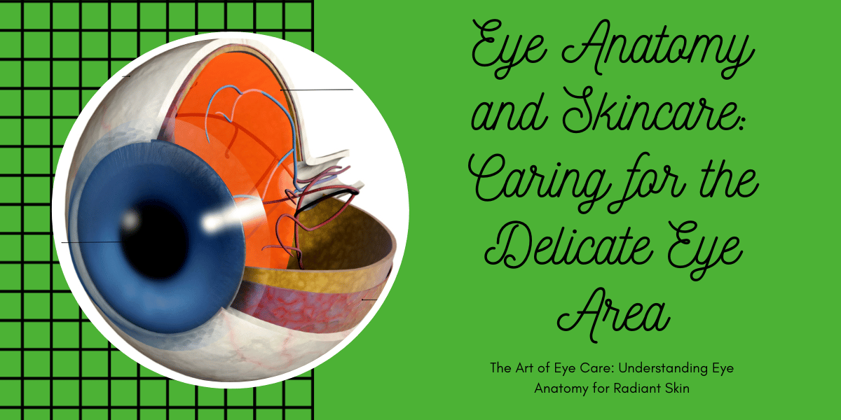 Eye Anatomy and Skincare