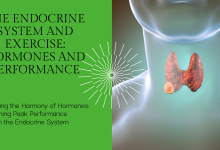 Endocrine System and Exercise