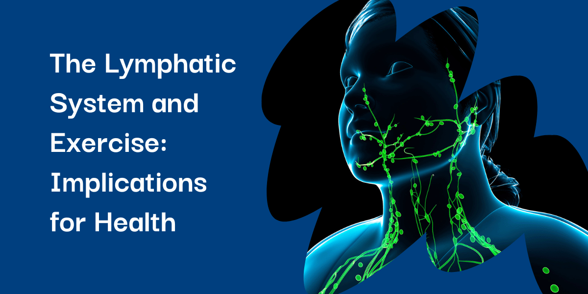 Lymphatic System Exercise