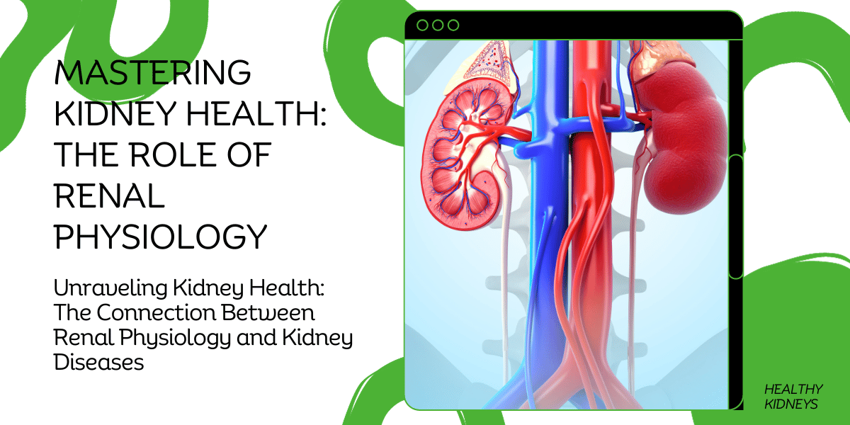 Renal Physiology and Kidney Health