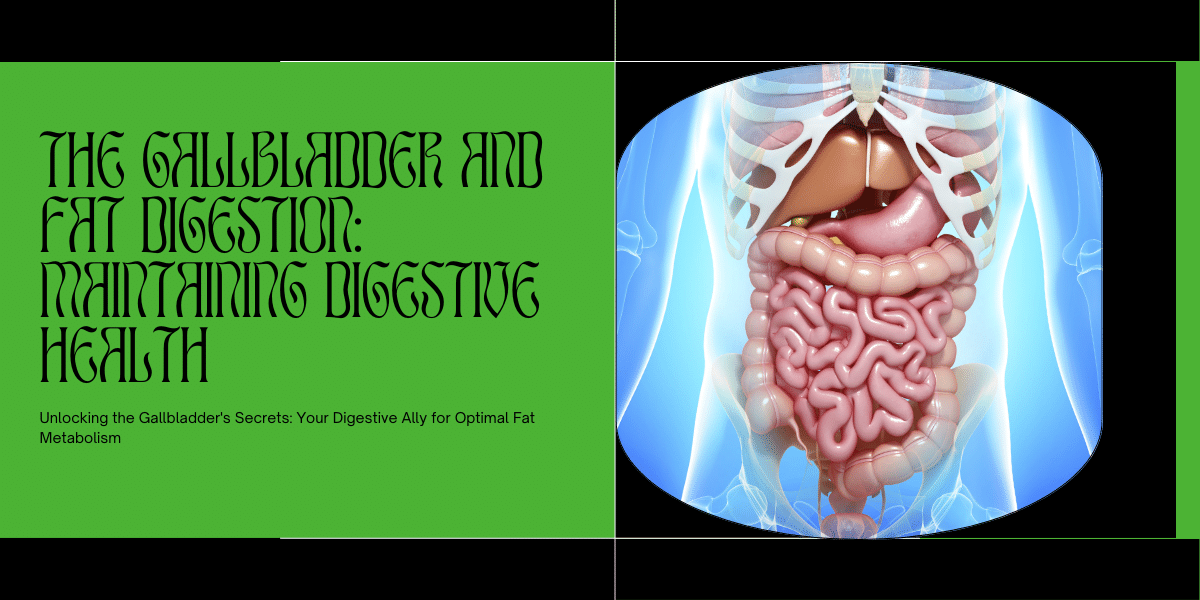 Gallbladder Digestive Health