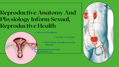 Reproductive Anatomy