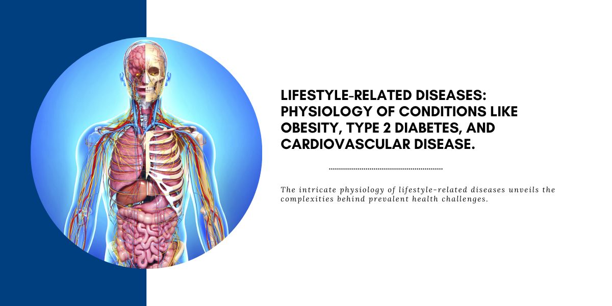 Lifestyle-Related Diseases: The Physiology Behind Obesity