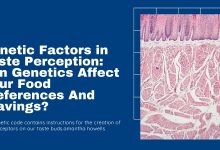 Genetic Factors in Taste Perception