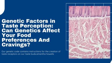 Genetic Factors in Taste Perception