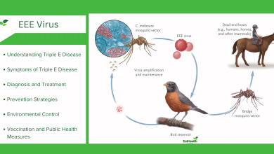 Triple E Disease