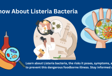 Listeria bacteria