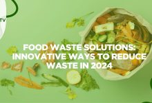 Food Waste Solutions