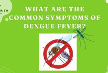 Dengue Fever