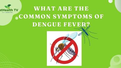 Dengue Fever